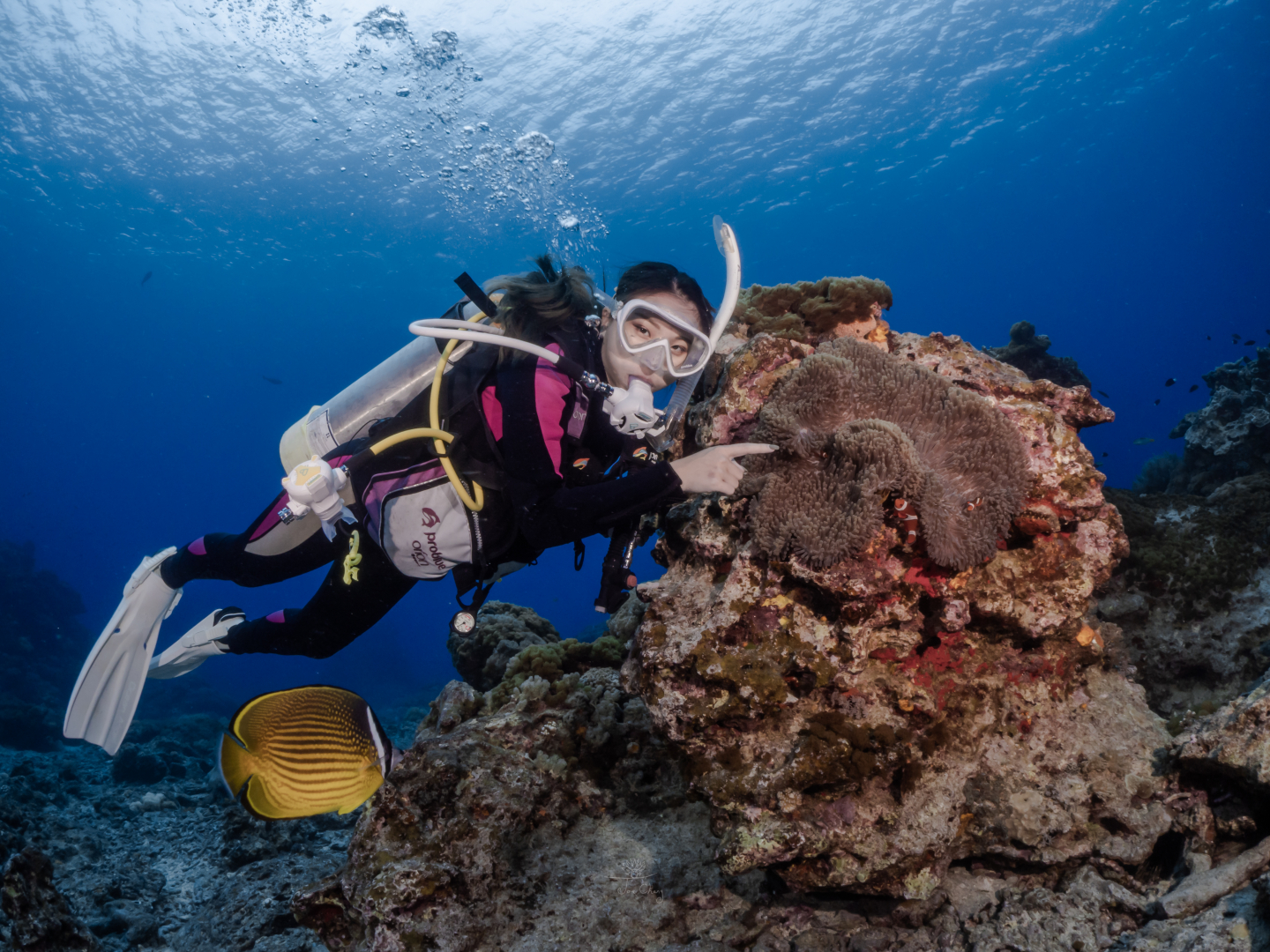 海底體驗潛水活動<span>PADI  Discover Scuba Diving</span>