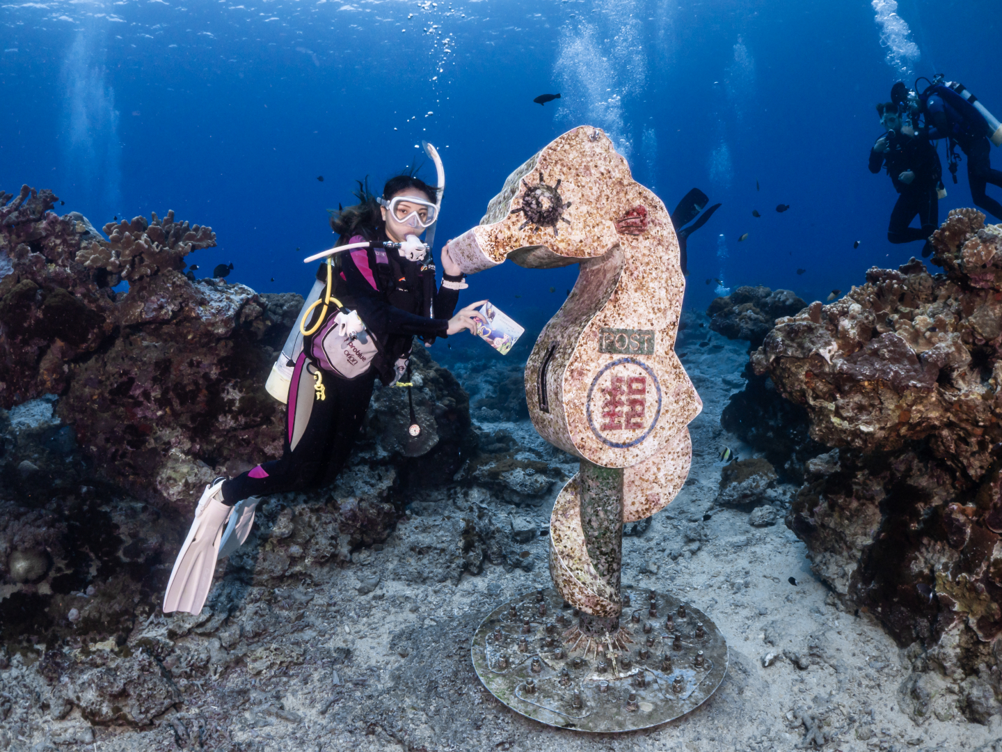 海底體驗潛水活動<span>PADI  Discover Scuba Diving</span> 4